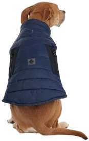 Beau Jacket with Leash Attachment for Dogs