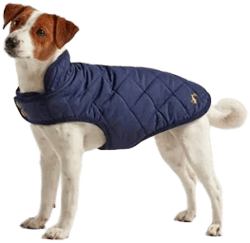 Joules Quilted Dog Coat