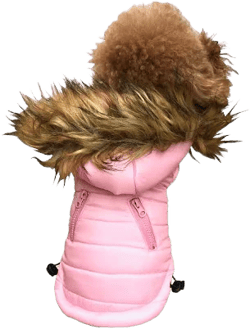 The Dog Squad Ski Bunny Puffer