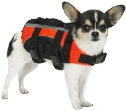 Dogs Need Safety Vests Too! Aquatic Pet Preservers Boating Water Safety