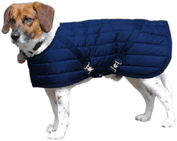 Dura-Tech Channel Quilted Dog Coat