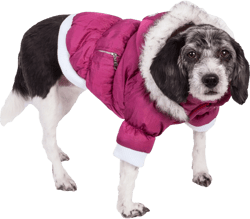 Pet Life Metallic Parka Dog Coat