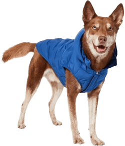 Frisco Mediumweight Quilted Dog & Cat Puffer with Removable Hood