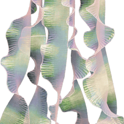 Newwiee 15 Yard Ruffle Pleated Chiffon Trim Organza Ruffled Iridescent Ribbon Fabric Chiffon Ribbon Lace Fabric Trim for Jellyfish Hat Lanter Skirt Sewing Bag Costume Trimming Craft(Iridescent)