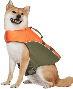 Blueberry Pet Essential Gear You & Fido Get Matchy Matchy! Reflective Dog Life Jacket