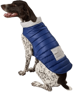 PetSmart Top Paw Adjustable Dog Puffer Jacket