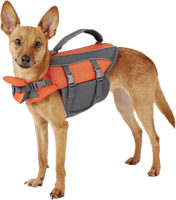 Frisco Ripstop Dog Life Jacket
