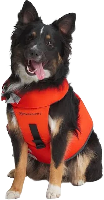 Backcountry x Petco The Dog flotation vest