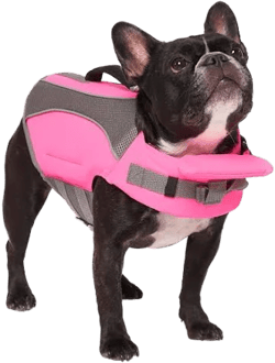 Canada Pooch Wave Rider Dog Life Jacket