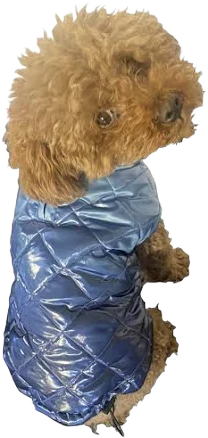 The Dog Squad Coco Puffer Diamond Quilted Dog Coat