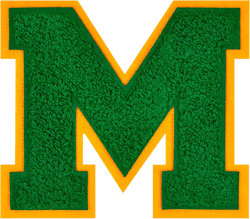 4.5" Iron on Letter Patches Green Chenille Letter Patch Large Letterman Jacket Patches Varsity Letters for Clothes(M)