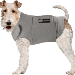 Bosley12's Closet Anti Anxiety/Thunder Coat