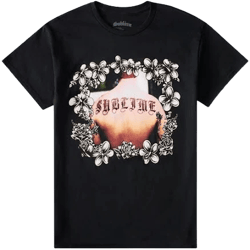 Aeropostale Men's Sublime Relaxed Cotton Tee