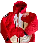 Supreme X THE North Face Jacket