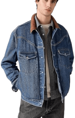 Levi's Men's Western Shorthorn Trucker Jacket