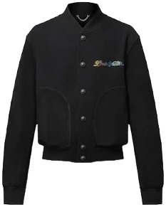 Louis Vuitton Men's Leather Varsity Blouson
