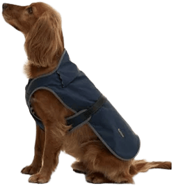 Barbour Evie Waterproof Dog Coat