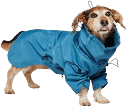 Frisco Water Resistant Dog Raincoat
