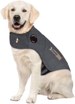ThunderShirt Dog Anxiety