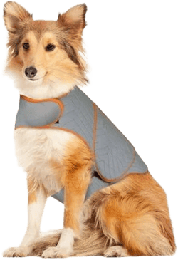 Briotek Sport Dog Anxiety Jacket