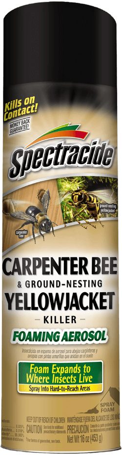 Spectracide Carpenter Bee & Ground-Nesting Yellow Jacket Killer Foaming Aerosol Spray