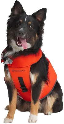 Backcountry x Petco The Dog flotation vest