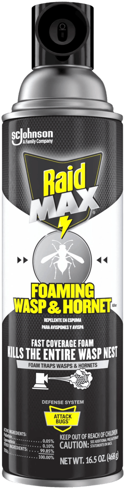 Raid Max Foaming Wasp & Hornet Killer