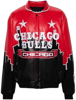 Chicago Bulls Skyline Jacket