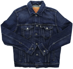 Levi's Denim Trucker Jacket