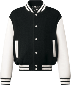 Louis Vuitton Leather Varsity Jacket