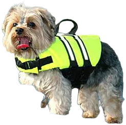 Paws Aboard Doggy Life Jackets