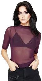 Disturbia Jinx Mesh Short Sleeve Top