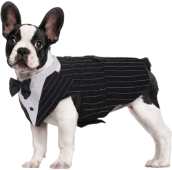 Kuoser Dog Tuxedo and Bandana Set