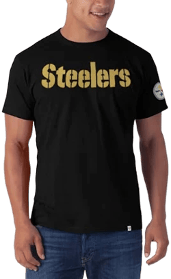 Pittsburgh Steelers Logo Fieldhouse Premium T-Shirt