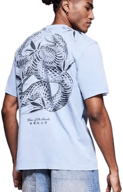 River Island Japanese Back Print T-Shirt