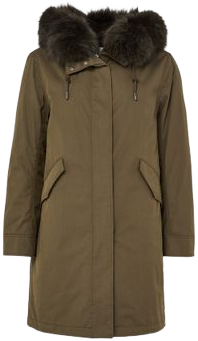 Cotton Parka With A Hood In Green