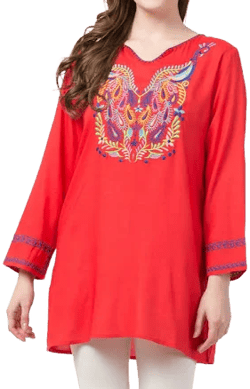 Raj Esha Embroidered Tunic