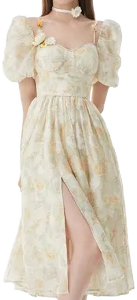PETAL Fairy Dress