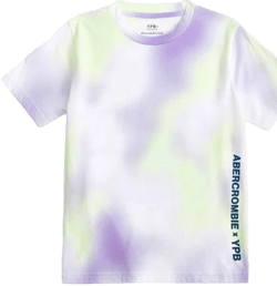 Abercrombie Kids Boys YPB Imagery Graphic Tee