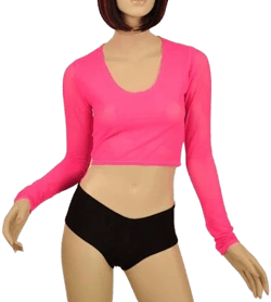 Coquetry Clothing Mesh Crop Top