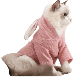 Para Perro Cute Rabbit Ear Puppy Cat Clothing Hoodie