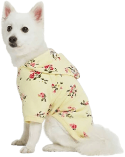Blueberry Pet Flower Dog Hooded Sweatshirt
