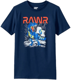 Boys Lands' End Short Sleeve Graphic Tee