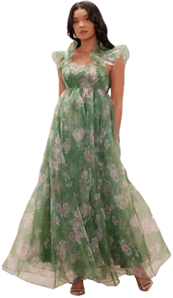 Fashion Nova Amelia Sleeveless Ruffle Chiffon Maxi Dress