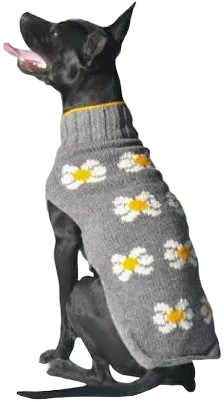 Chilly Dog Flower Skirt Dog Sweater