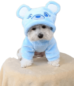 PETSIN Cute Bear Ear Hooded Sweatshirt
