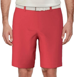 Active Waist Men's Golf Shorts