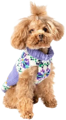 Chilly Dog Lavender Flowers Dog Sweater