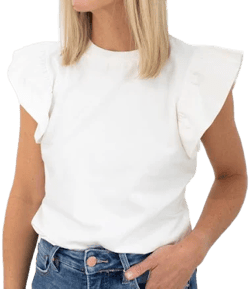 Ruffle Sleeve Top