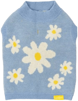 Lucy & Co. The Simply Splended Blue Daisy Dog Sweater